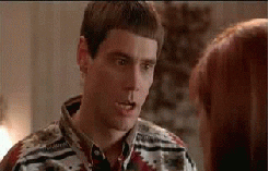 giphy.gif?cid=ecf05e47l0ki8sty1550zfc5l3