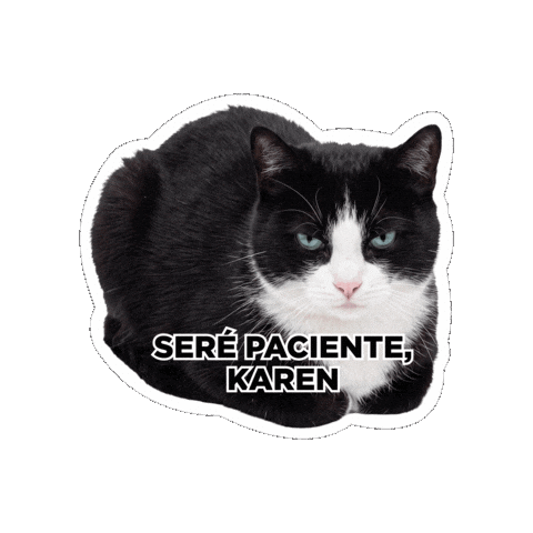 Seguroesporminino Sticker by Minino Plus®