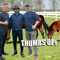 Polo Thumbs Up GIF by Blufox Mobile