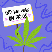 War On Drugs Smoking GIF by Creative Courage