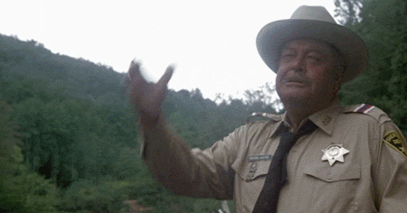 Buford T Justice Gif