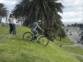 GIF by gentedealicante