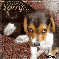 Im So Sorry Gif