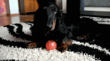 axn0b3jpaze5odzabwfpbc5ydq  GIF