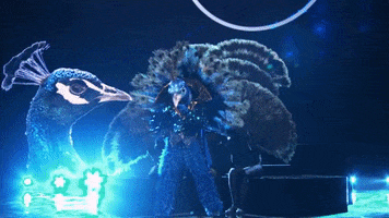 Performance Peacock GIF by The Masked Singer