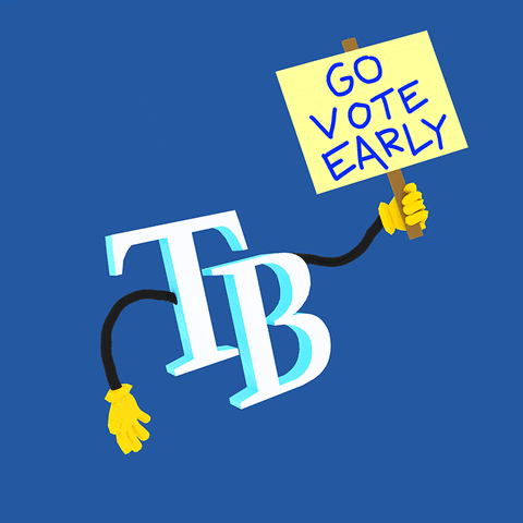 Vote Early Election 2020 GIF by #GoVote