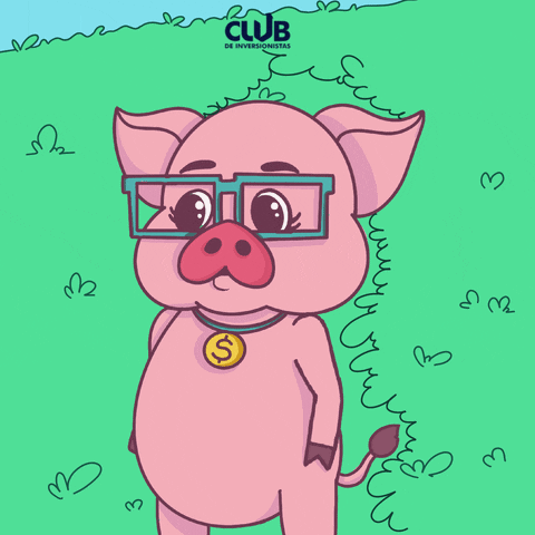 Pig GIF