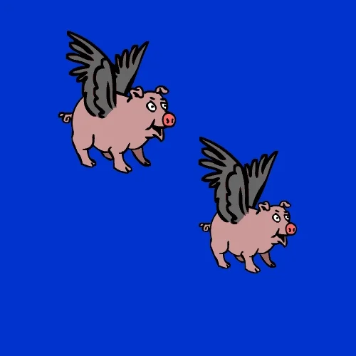 giphy.webp