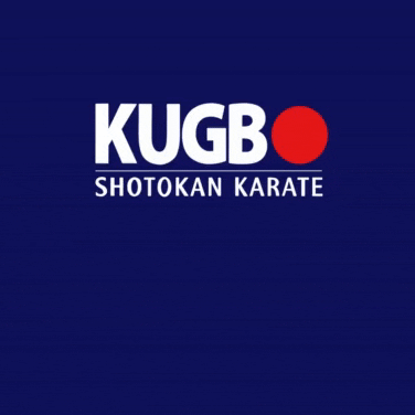 Karate GIF