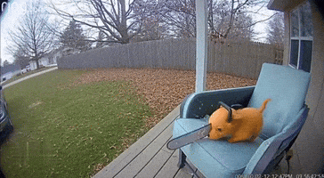 Csm GIF