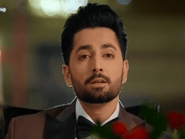 Danish GIF