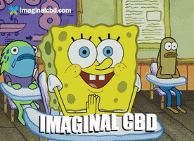 Happy Spongebob Squarepants GIF by Imaginal Biotech