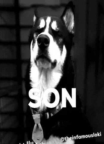 Bro Son GIF by Loki