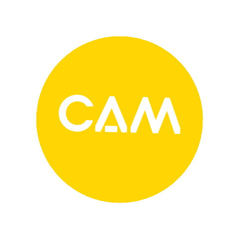 CAM Raleigh Sticker