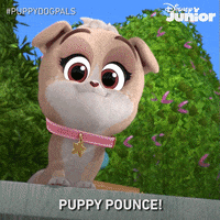 Happy Puppy Dog Pals GIF by DisneyJunior