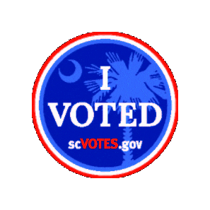 Ivotedsc Sticker by SC Votes