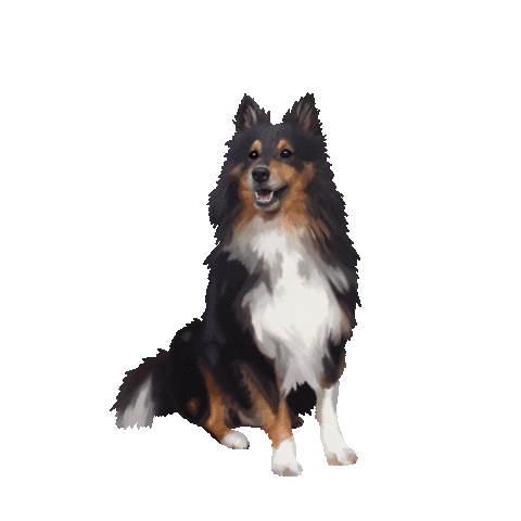 Dog Sticker
