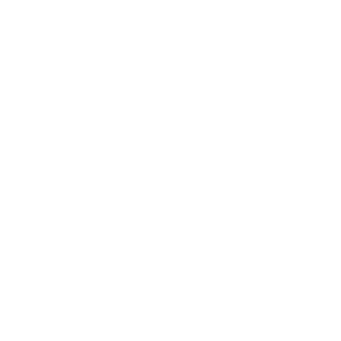 Actiz Optimizers Sticker