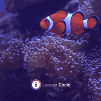 LearnerCircle-swim-just-keep-N5Y83dhFLCGNS8OXx8