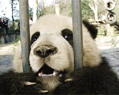 giphy.gif?cid=4d1e4f2960d34c5631098aa1bf9f377ed6a18a98493df67e&rid=giphy.gif