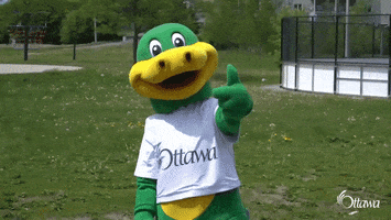 Park Thumbs Up GIF by OttawaRecCulture