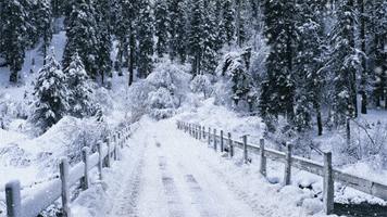 Video gif. We see the landscape of a snow covered bridge and forest with snow gently falling. 