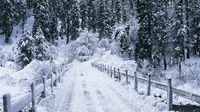 snow winter GIF
