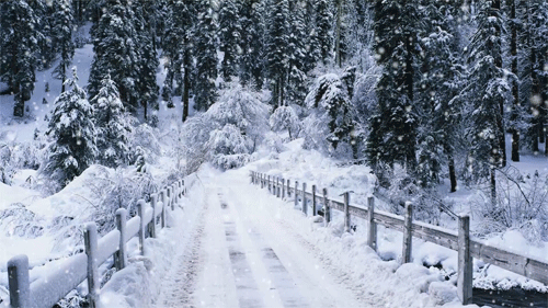 Wie gefällt dir der Winter bisher Findest du es gut dass es nicht so kalt ist