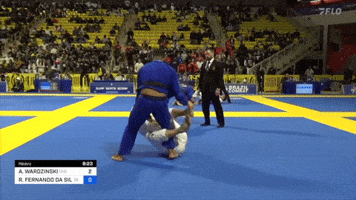 Bjj GIF