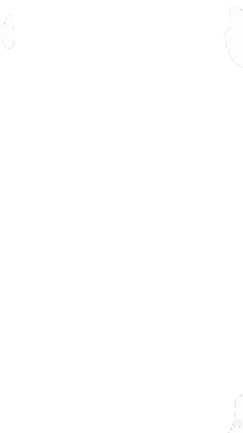 Elleva Assessoria Contábil Sticker