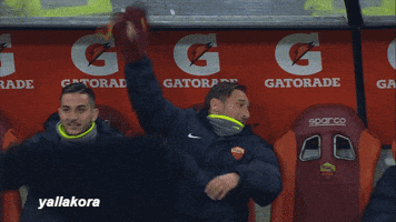 mosalatif  GIF