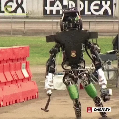 giphy.webp?cid=6c09b9525e0ba07558d303cc3