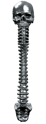 Source: Mechanical Whispers Source: Mechanical Whispers