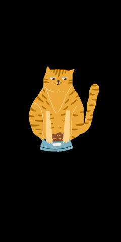 Voor de mensen die katten hebben Krijgen jullie katten brokjes of nat voer