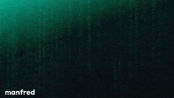 Coding Star Wars GIF by Manfred