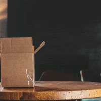 200.gif?cid=fc005b0825f10a4e5d6578022089c9b0c53bd98b7f09c5e6&rid=200.gif&ct=g