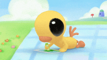 갈매기 GIF