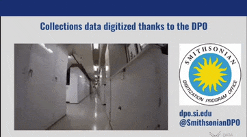 Smithsonian Data-Centric Ai Process GIF