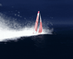 Virtual Regatta GIF