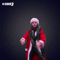 See Merry Christmas GIF by SWR3