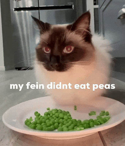 Feinfein2014 GIF