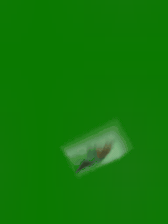Plant Life Fly GIF by TeaCosyFolk