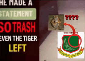 Tiger Bangladesh GIF