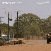 Lets Go GIF by Acorn TV