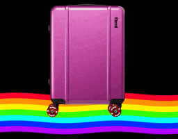 floydone suitcase floyd trolley travel case GIF