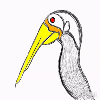 Ibist Ornithology Artanddesaign GIF