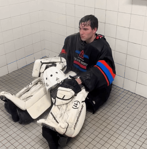 Hockey Goalie GIF by Talking Hockey