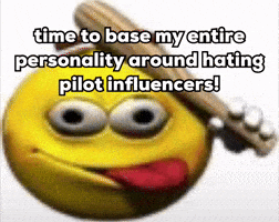 Pilot Aviation GIF