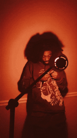 Hair Afro GIF by L'Sonne