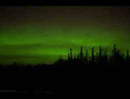 Nature GIF